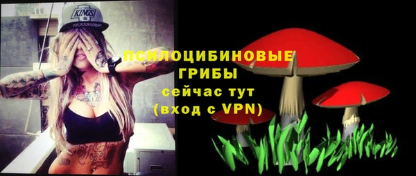 прущие крисы Алзамай
