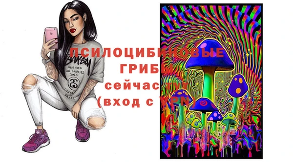 прущие крисы Алзамай