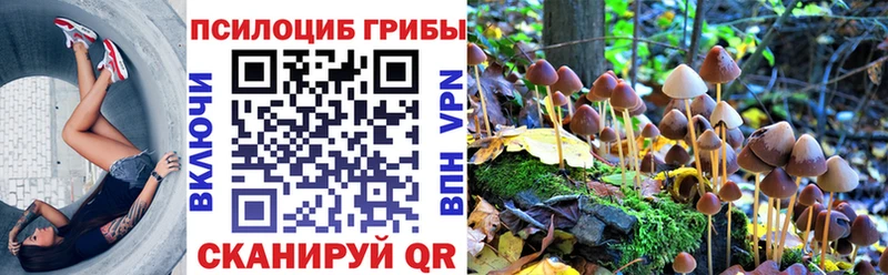 Псилоцибиновые грибы Psilocybe  Камешково 