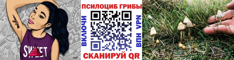 Псилоцибиновые грибы Cubensis Камешково