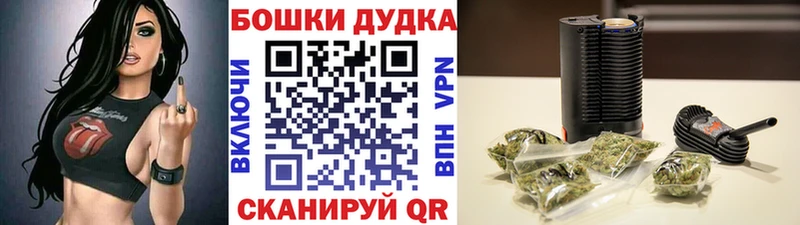 купить наркоту  Камешково  Марихуана White Widow 